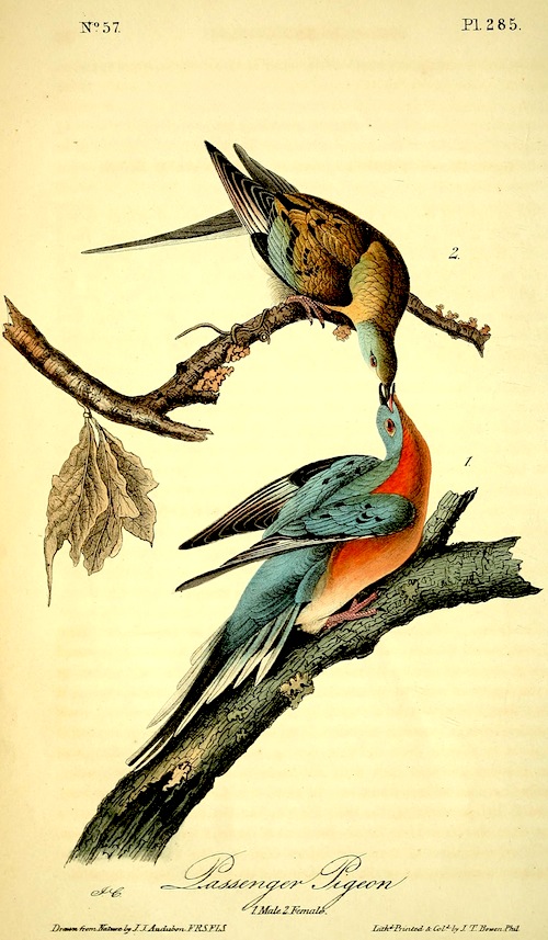 View Full Size Image