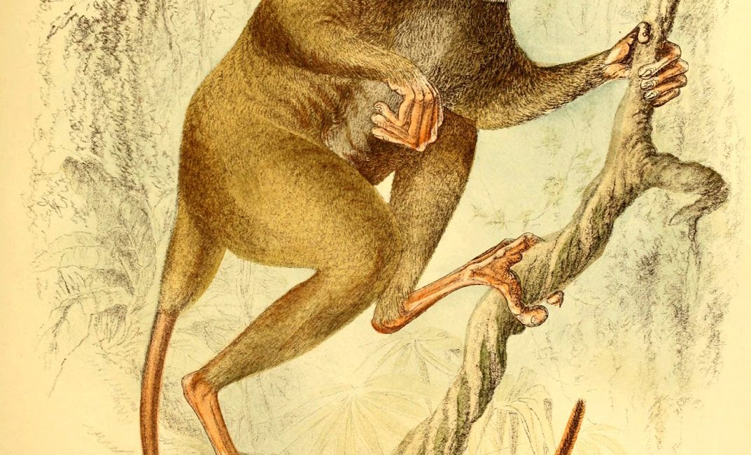 Read the full blog post