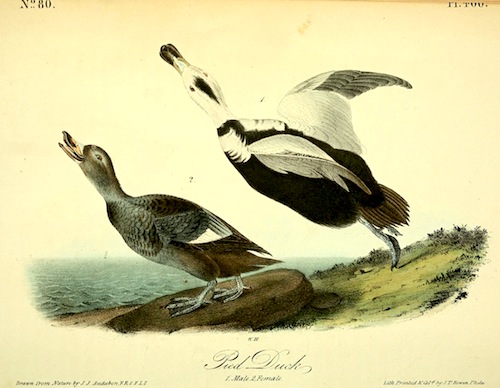 View Full Size Image