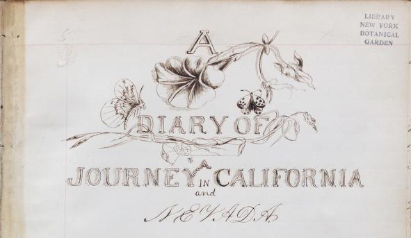 Read the full blog post