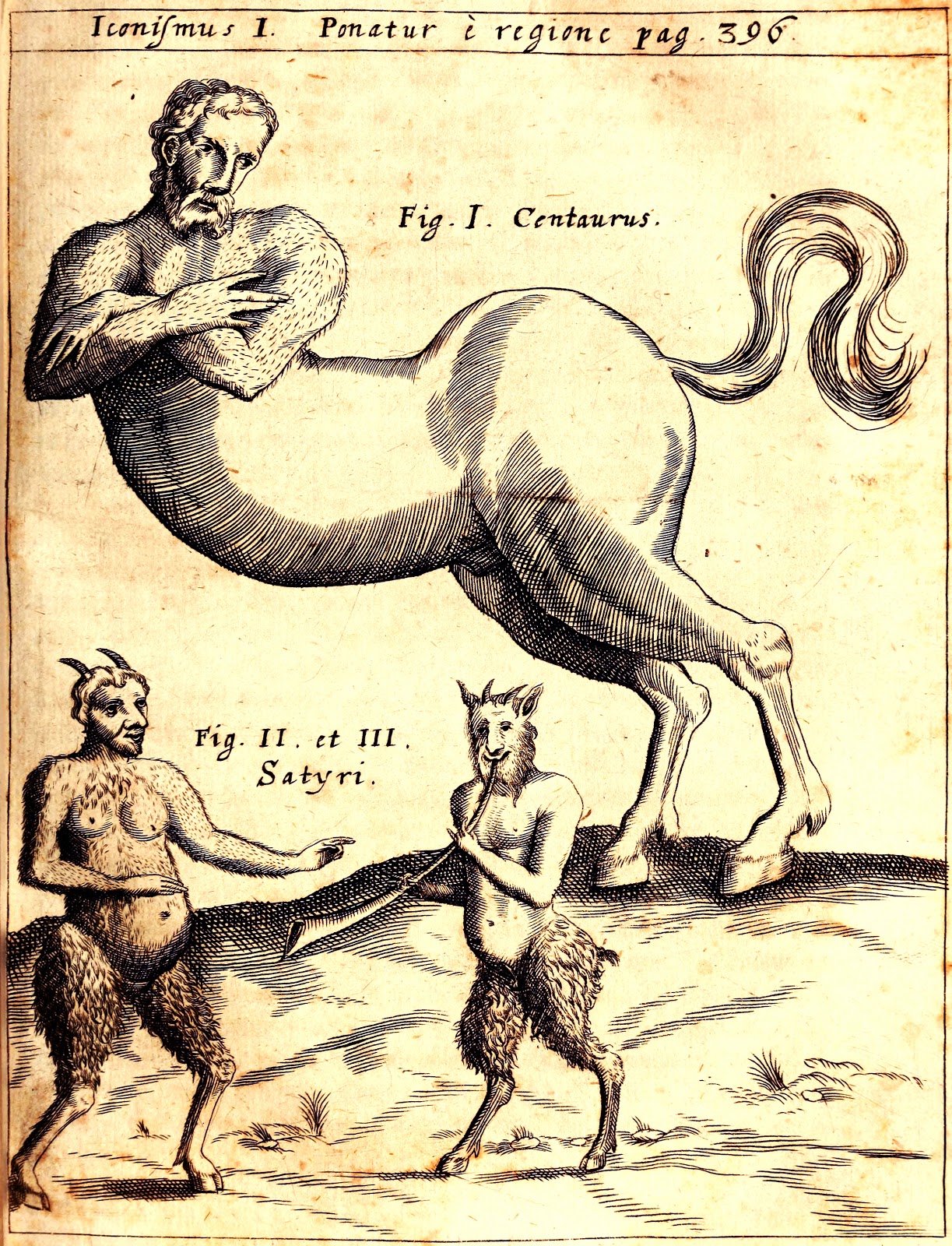 View Full Size Image