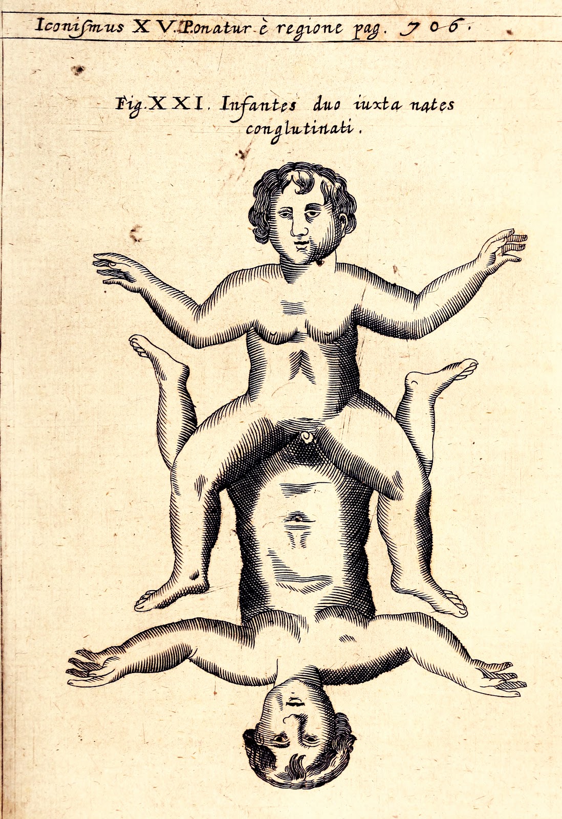 View Full Size Image