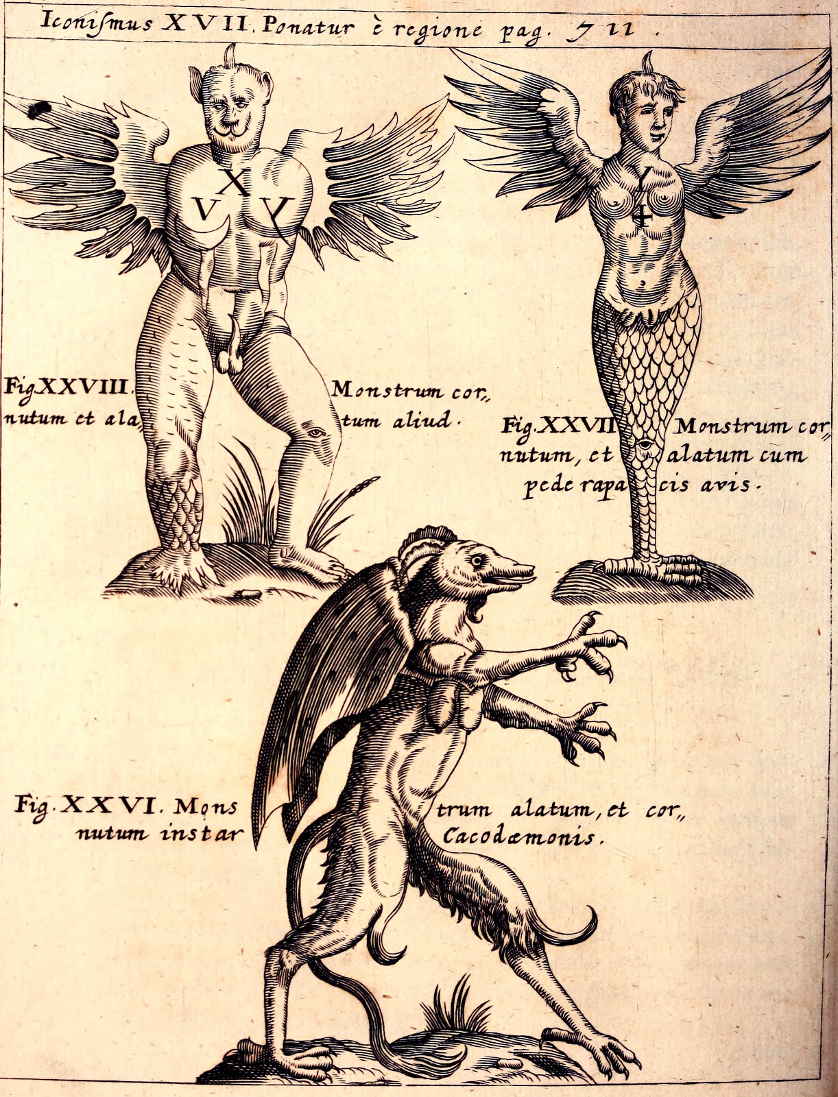 View Full Size Image