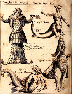 View Full Size Image