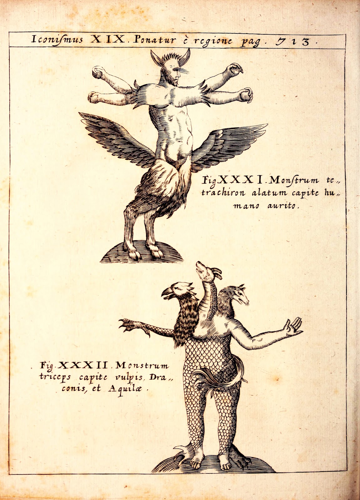 View Full Size Image