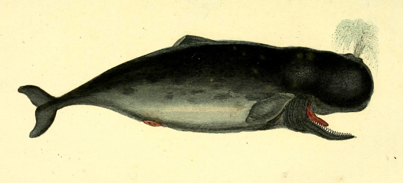 View Full Size Image