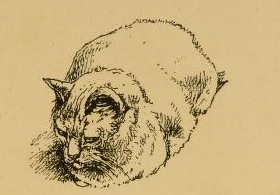 View Full Size Image