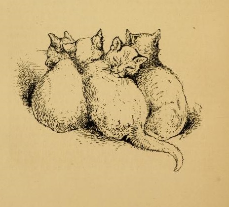 View Full Size Image