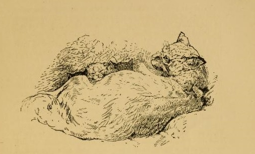 View Full Size Image