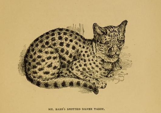 View Full Size Image