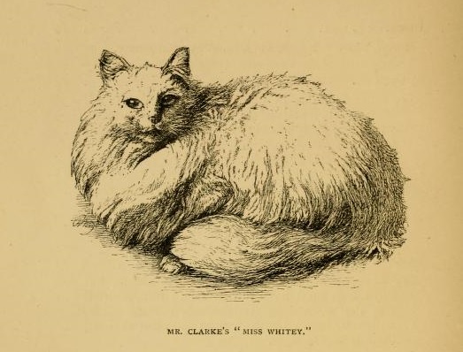 View Full Size Image