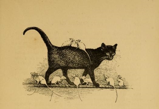 View Full Size Image