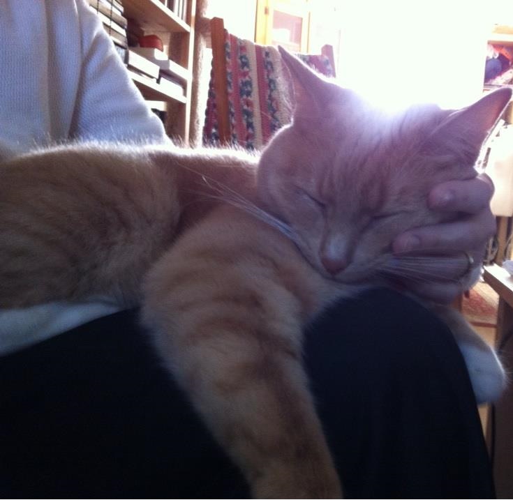 View Full Size Image