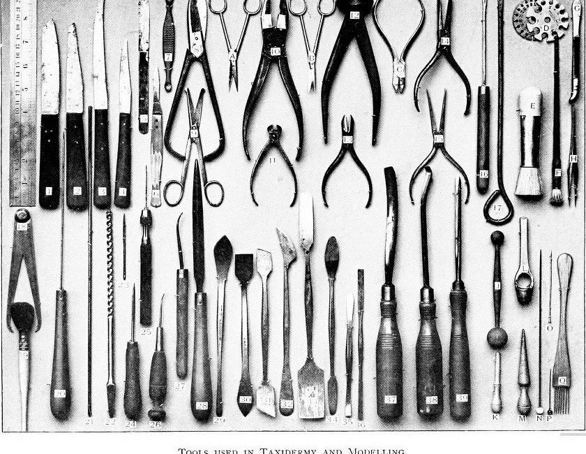 Read the full blog post