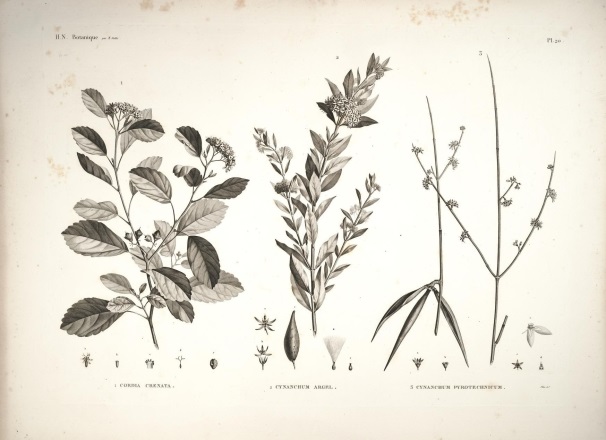 View Full Size Image