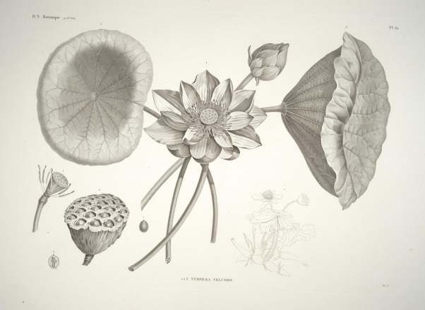 View Full Size Image