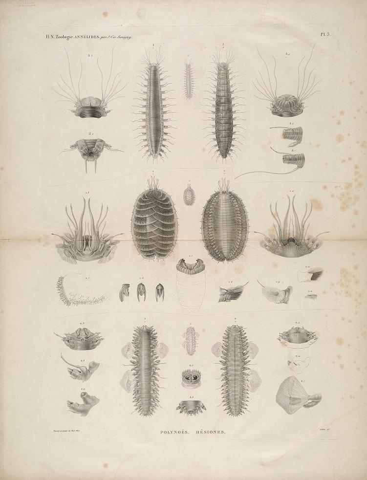 View Full Size Image