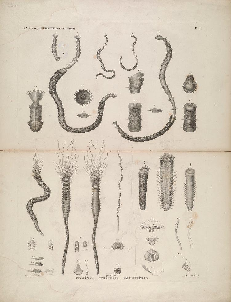 View Full Size Image