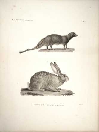 View Full Size Image