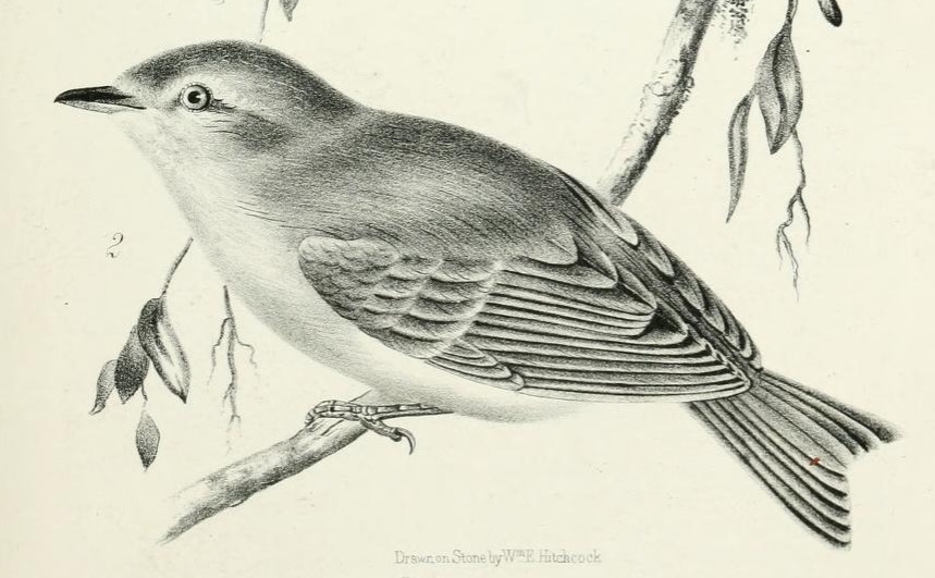 Read the full blog post