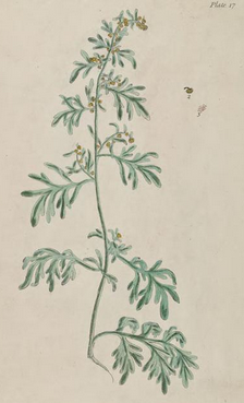 Read the full blog post