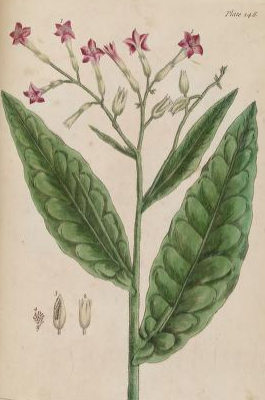 View Full Size Image