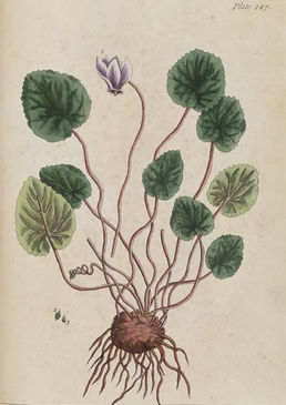 View Full Size Image