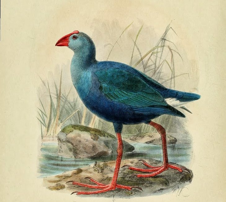 Read the full blog post