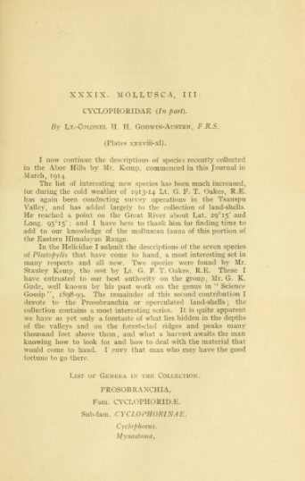 View Full Size Image