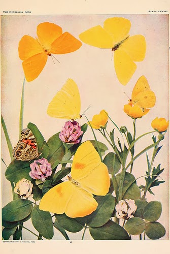 Read the full blog post