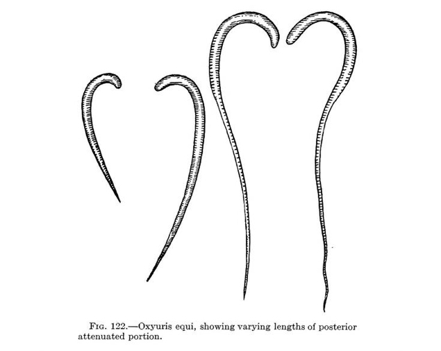 View Full Size Image