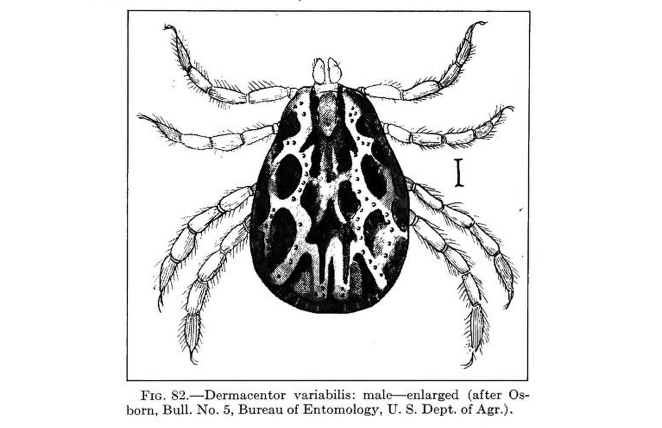 View Full Size Image