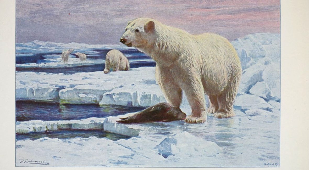 Read the full blog post