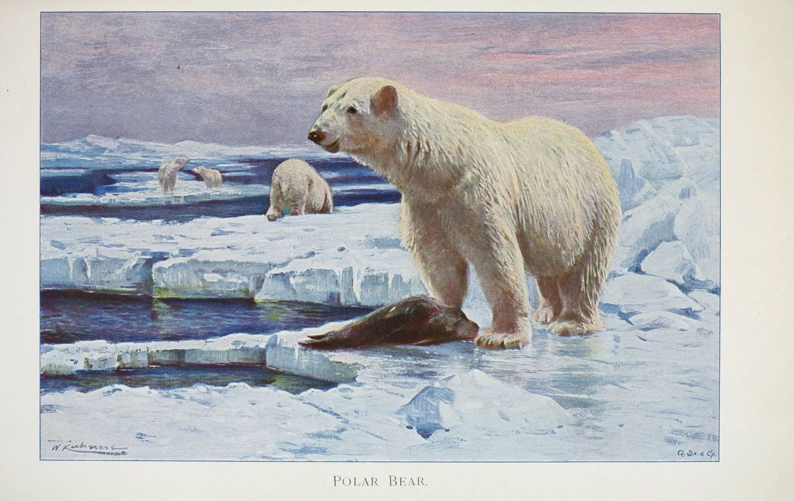 View Full Size Image