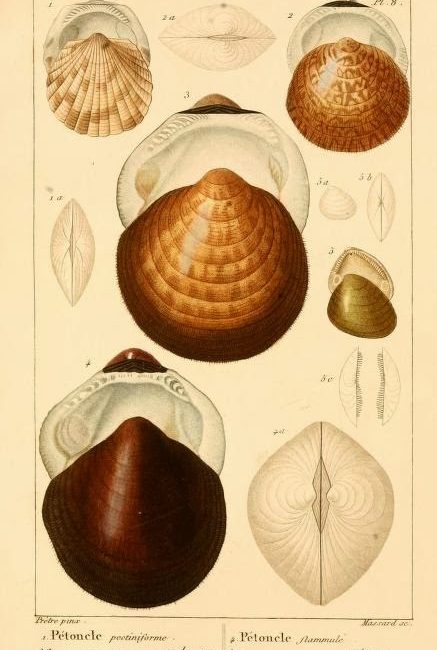 Read the full blog post