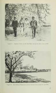 View Full Size Image