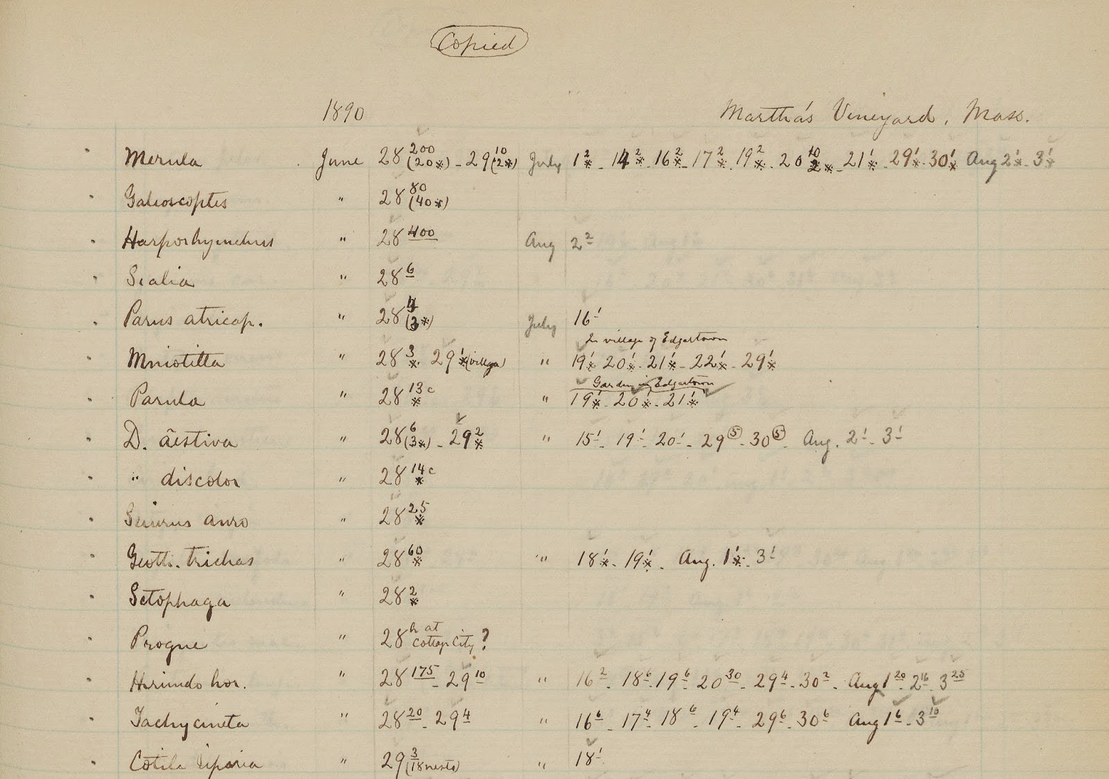 View Full Size Image