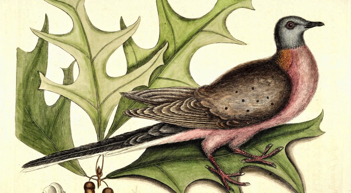 Read the full blog post