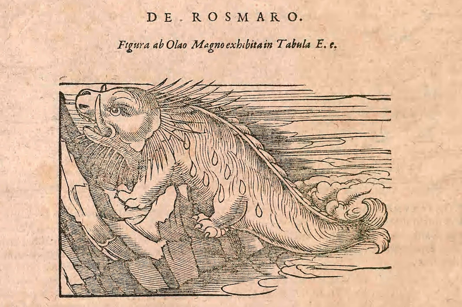 View Full Size Image