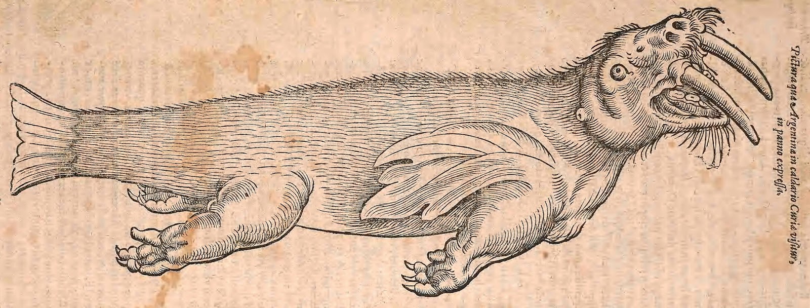 View Full Size Image