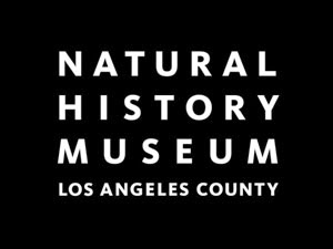 View Full Size Image