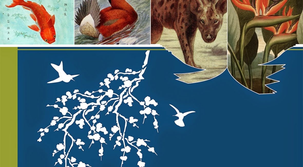 Read the full blog post