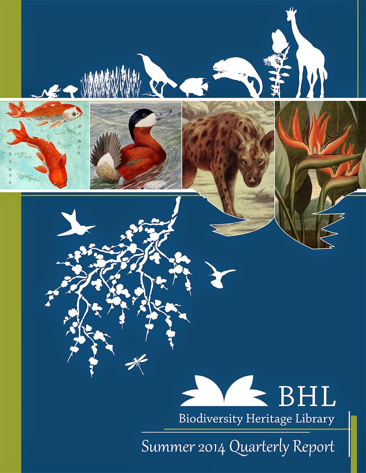 View Full Size Image