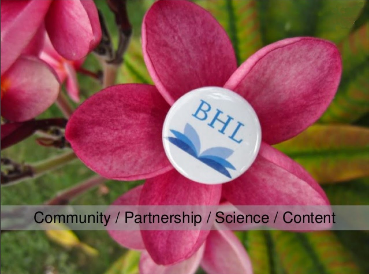 View Full Size Image