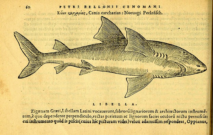 View Full Size Image