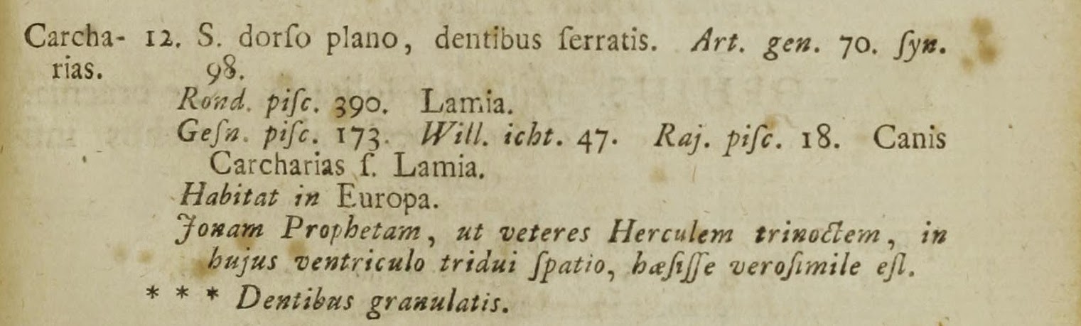 View Full Size Image