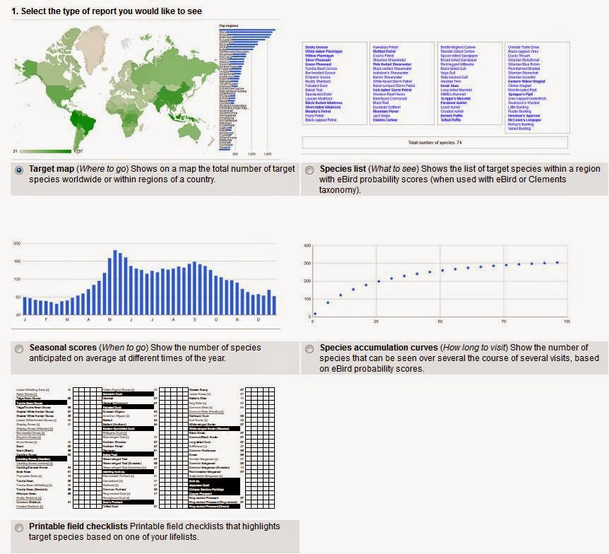 View Full Size Image