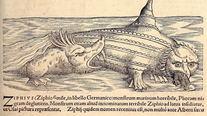 View Full Size Image