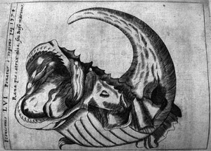 View Full Size Image