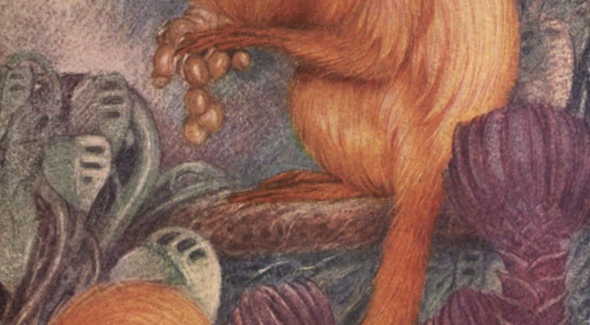 Read the full blog post